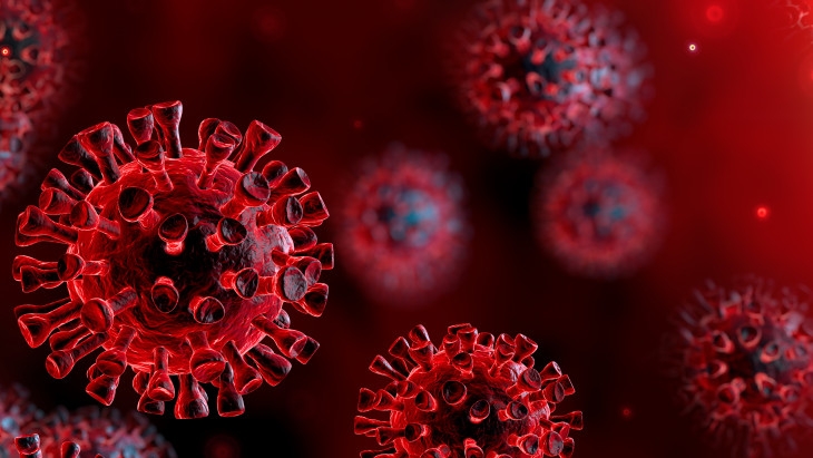 Coronavirus: Number Of Cases Rises To 16 In Hungary