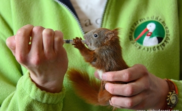 Over 2,600 Animals Were Rescued at the Budapest Zoo in 2024
