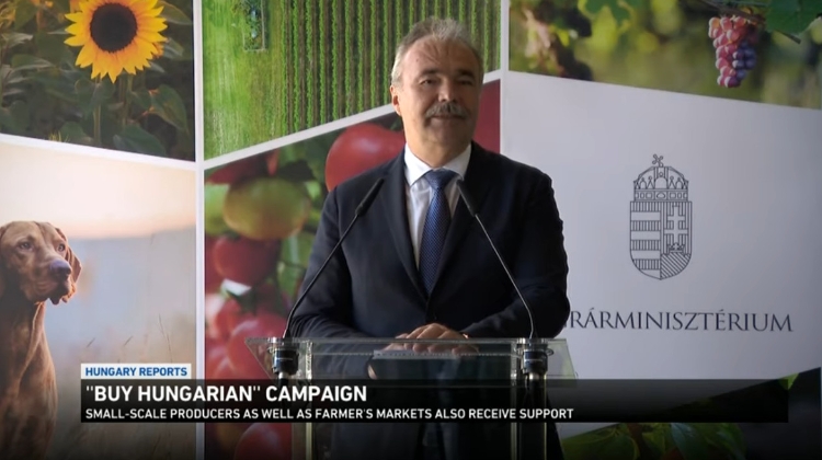 Video News: 'Hungary Reports', 28 August