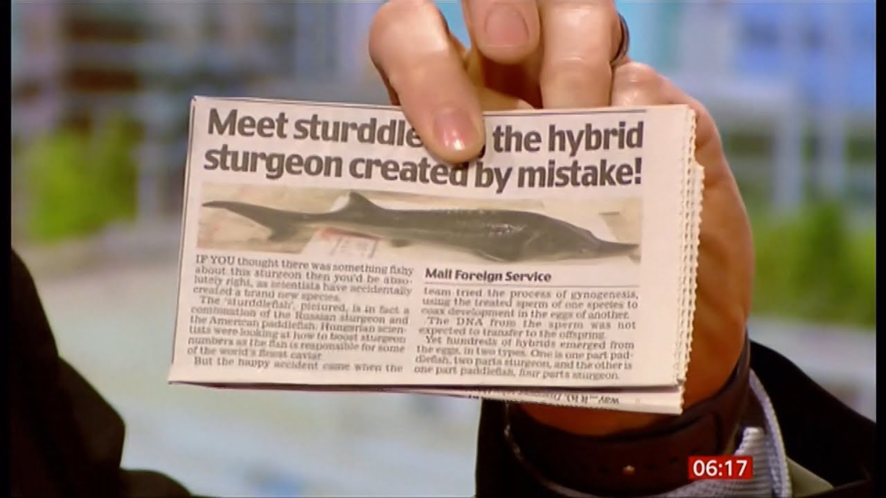 Video: Hungarian Scientists Create New Hybrid Fish - By Accident
