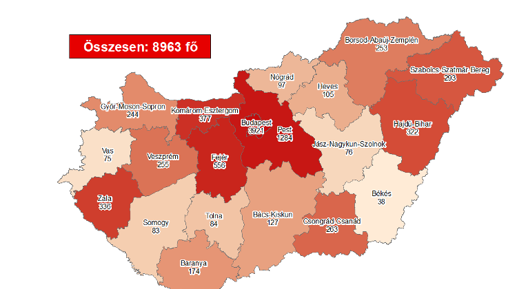 Coronavirus: Active Cases Stand At 4,377 With 1 New Death In Hungary
