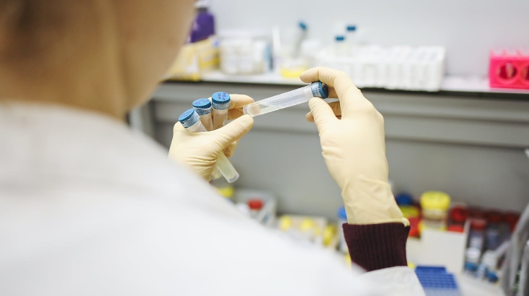 1.5 M Coronavirus Tests 'Locked Away From Public' DK Claims