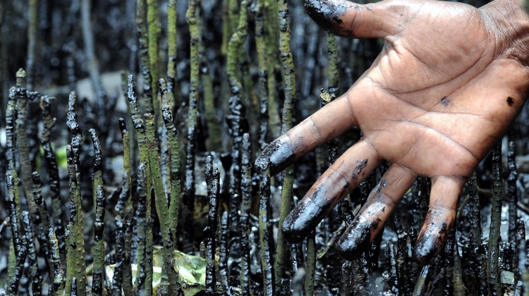 Video: Dangerous Oil Pollution Found On Danube Near Budapest