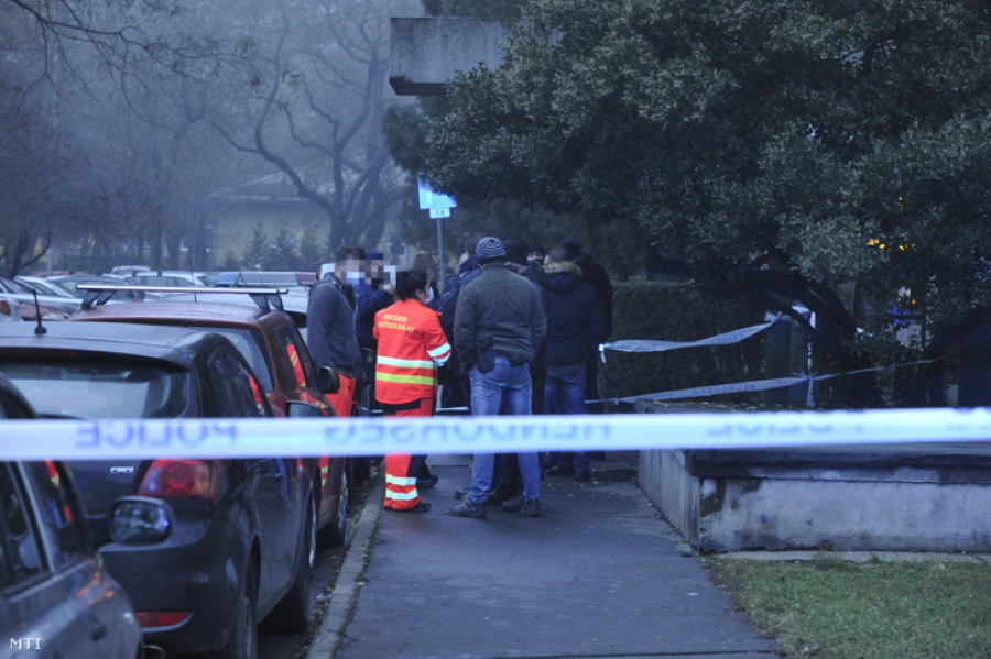 Man Attacking Police Shot In Budapest Suburb Just Before Xmas Eve