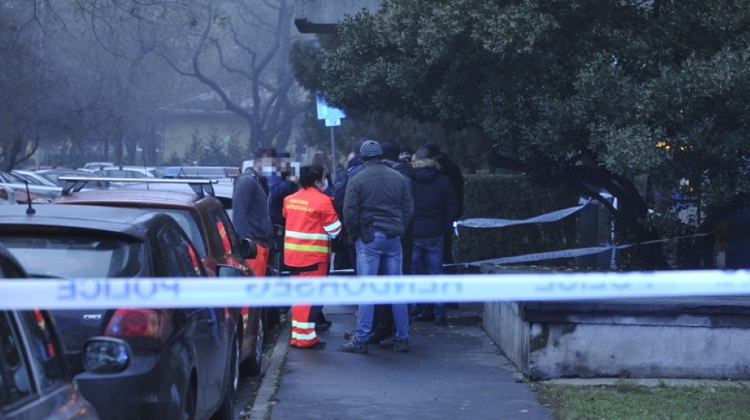 Man Attacking Police Shot In Budapest Suburb Just Before Xmas Eve