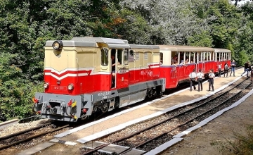 Insider’s Guide: Charming Narrow-Gauge Forest Railways in Hungary