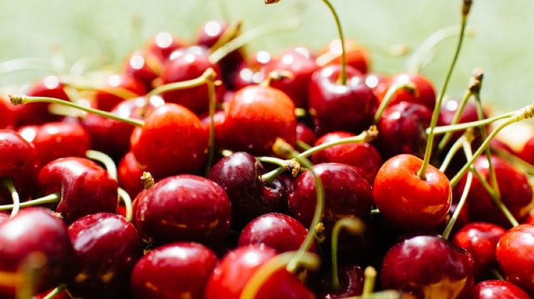 Super Fruit: Hungary is "Silver Medal" Cherry Producer in EU