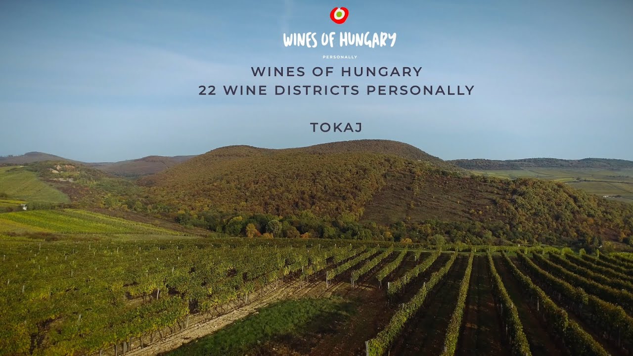 Xploring Hungary Video: Tokaj’s Wine Delights