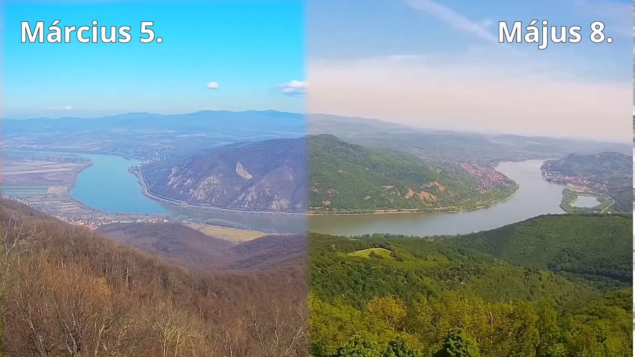 Video: How Danube Bend Recently Turned Green In Hungary