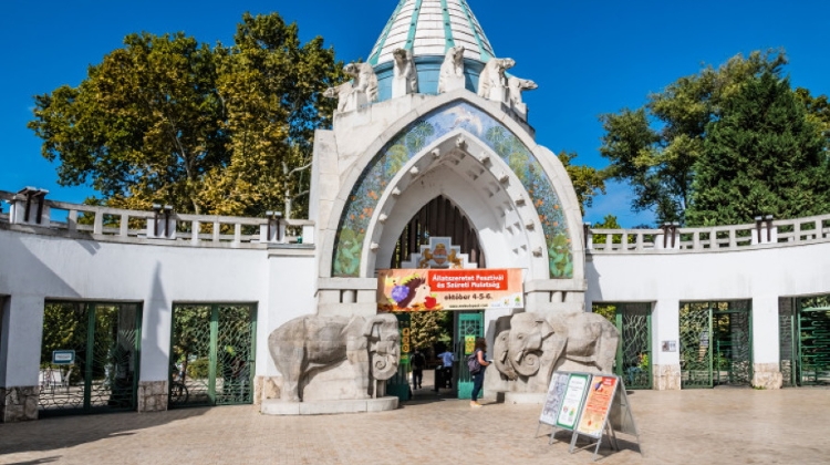 Budapest Zoo is Now Open