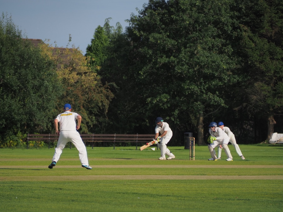 Xpat Sport: Anyone For Cricket In Budapest?