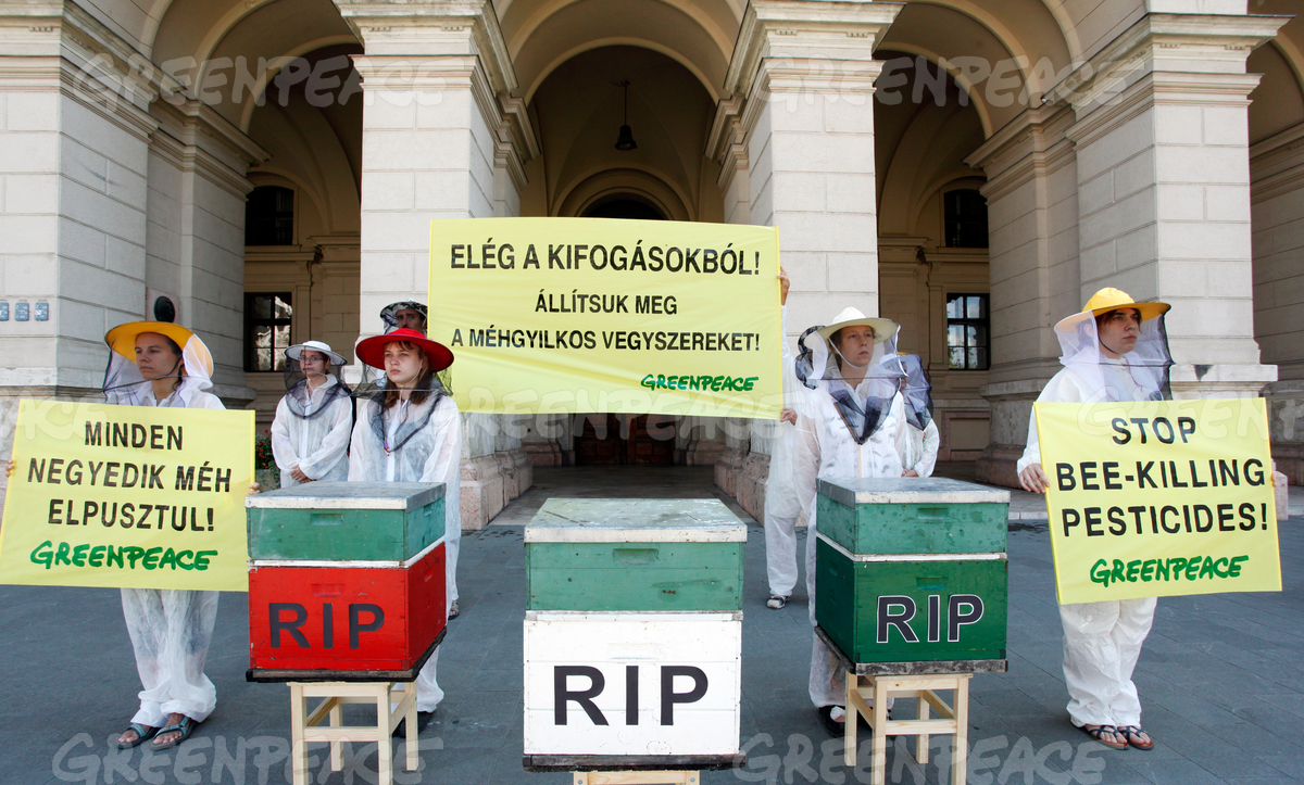 15,000+ 'Save The Bees' Signatures Collected In Hungary