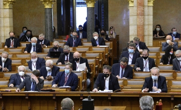 Hungarian Opinion: Gov't Tables Anti-Paedophile Bill