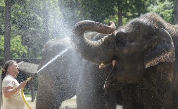 Hottest-Ever June in Hungary Hottest-Ever June in Hungary