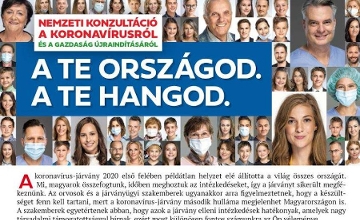 New National Consultation Unveiled - Summary