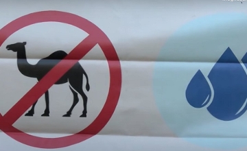 Watch: Activists Bring Camels To Budapest Warning 'Hungary Could Become A Desert'
