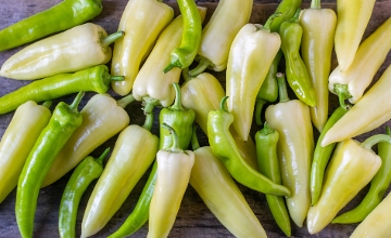 Szentesi Paprika, Embroidered Coat, Traditional Heasdstones Inscribed on Hungarikum List Szentesi Paprika, Embroidered Coat, Traditional Heasdstones Inscribed on Hungarikum List