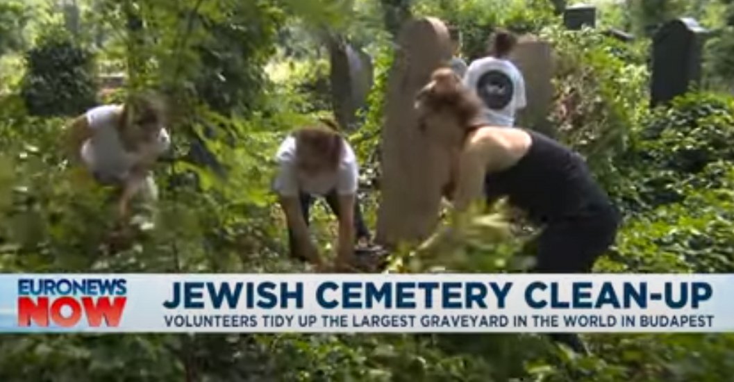 Watch: Volunteers in Budapest Work to Restore One of World's Largest Jewish Cemeteries
