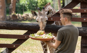Debrecen Zoo & Amusement Park Open with New Experiences