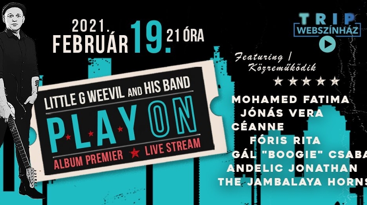 Little G Weevil Band Play On Album Launch