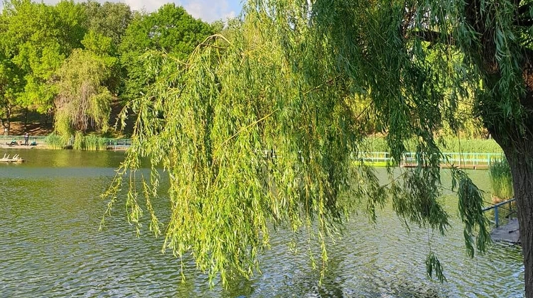 Mindful Hike & Yoga In Nature, Budapest, 22 May