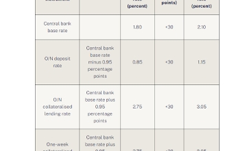 Hungary Central Bank Raises Key Rate by 30 Basis Points