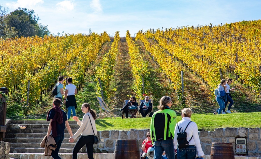 Xploring Hungary Video: Wine Districts in Etyek & Buda