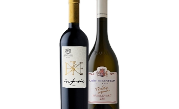 Hungarian Top 100 Wine Ranking: Reds and 1 White Join the Aszú Party Hungarian Top 100 Wine Ranking: Reds and 1 White Join the Aszú Party