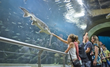 Watch: Hungary's Giant Freshwater Aquarium