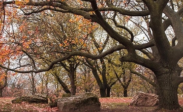 Enjoy Autumn in the Outdoors of Budapest