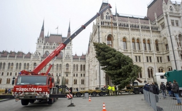 Massive Christmas Tree Goes up in Front of Parliament in Budapest Massive Christmas Tree Goes up in Front of Parliament in Budapest