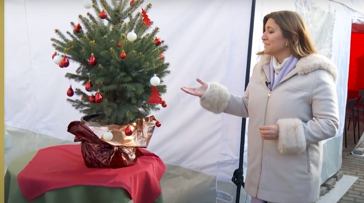 Watch: Budapest Hospital Gives Christmas Trees as Covid-19 Vaccine Incentive