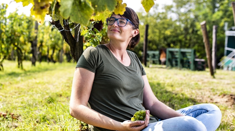 Adopt a Dozen of Ezerjó Vines in a Hungarian Organic Vineyard