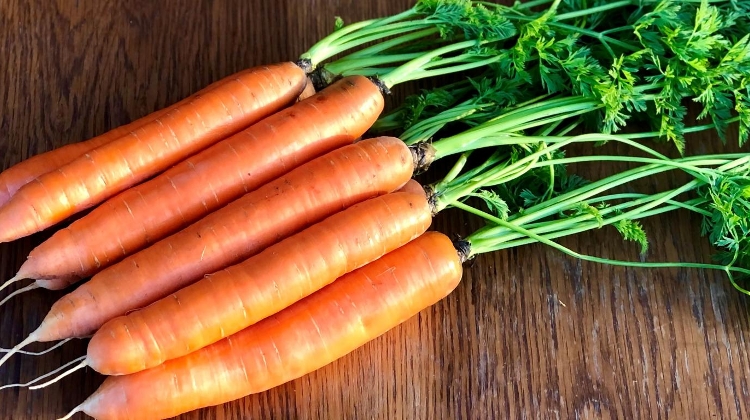 Carrots Grown in NW Hungary Granted Geographical Indication