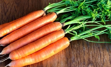 Carrots Grown in NW Hungary Granted Geographical Indication