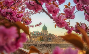 "Great Read" Xpat Community E-Magazine 13 – 20 May