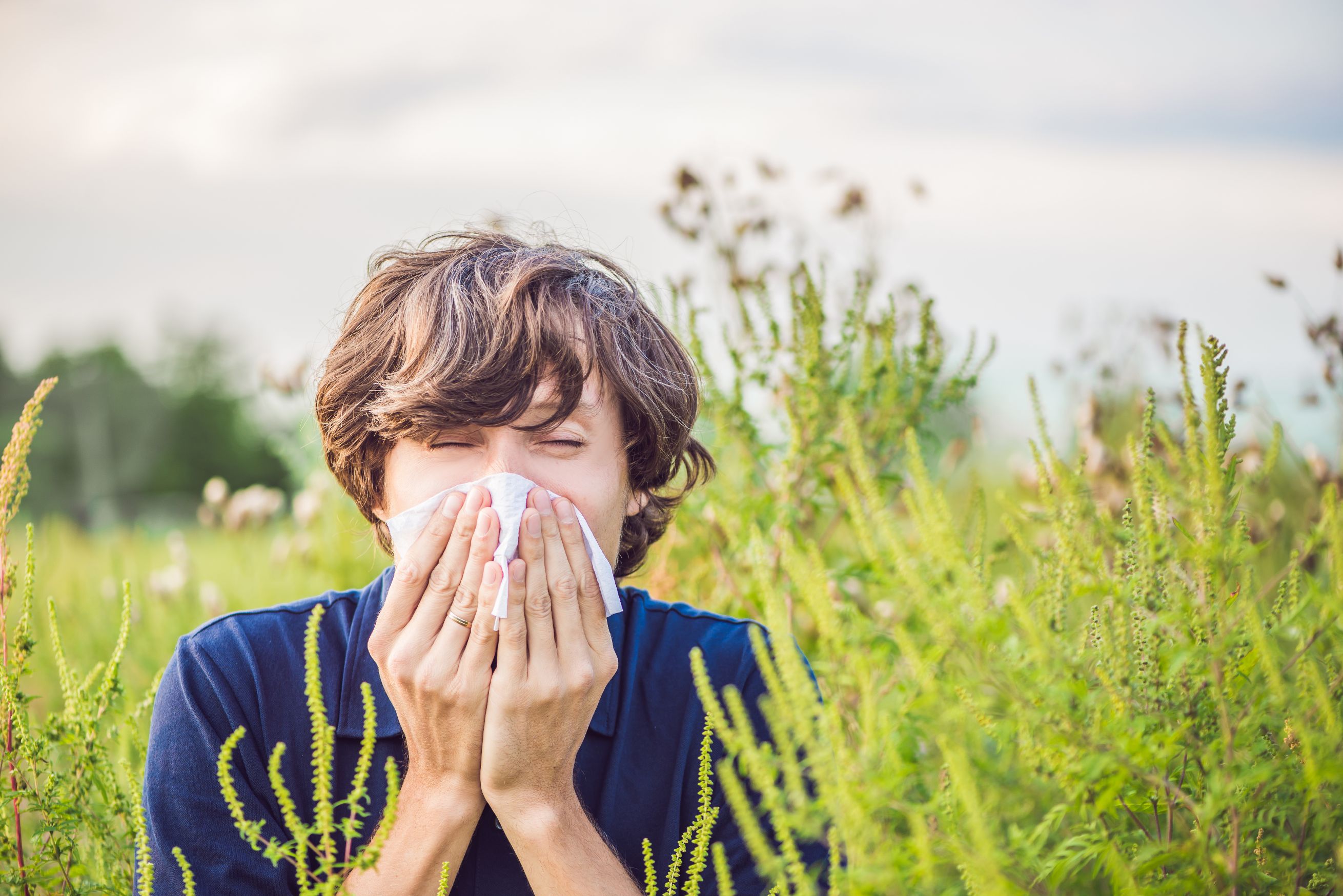 Pollen Allergy - Why is an Investigation Important? By Dr. Rose Private Hospital Budapest