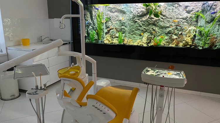 Get All the Dental Care You Need @ Smile & Teeth Dental Budapest