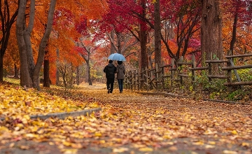 Top 10 +1 Autumn Activities in Budapest Top 10 +1 Autumn Activities in Budapest