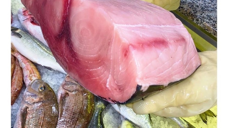 Swordfish Available Now from La Pescheria in Budapest