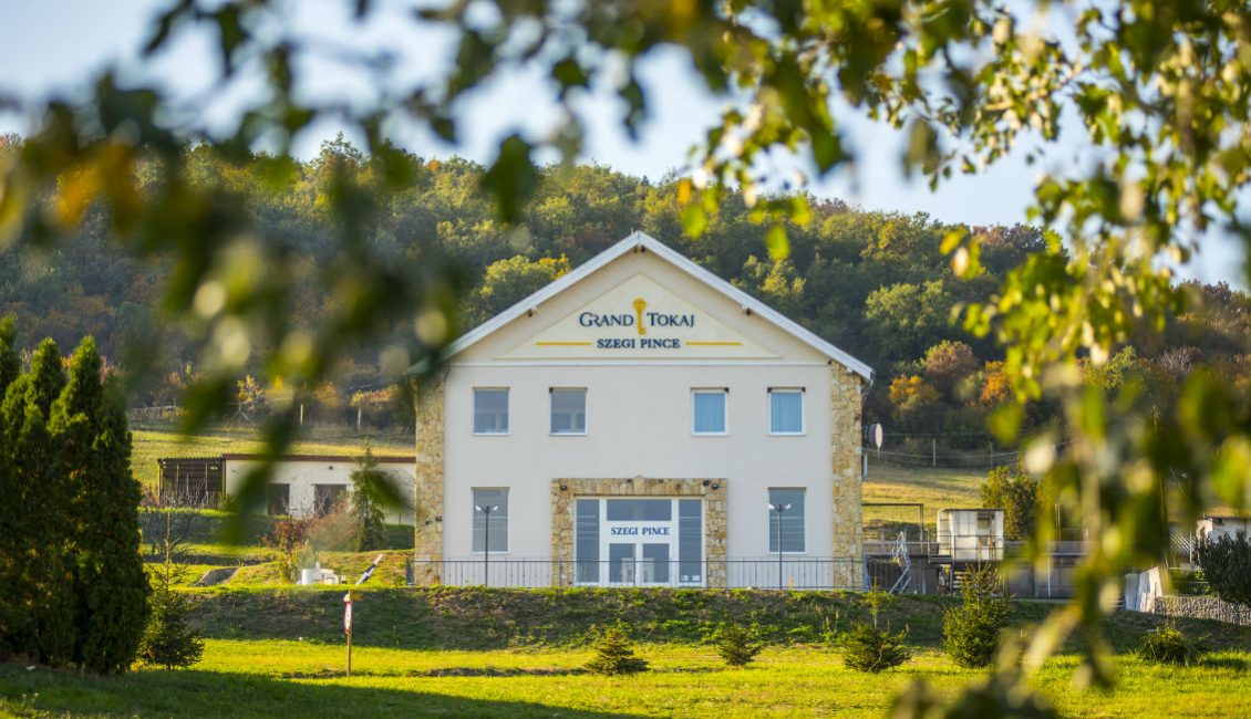 Largest Wine Producer in Tokaj Region Expects Turnover to Exceed HUF 3 Billion