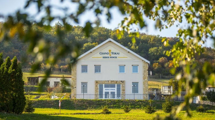 Largest Wine Producer in Tokaj Region Expects Turnover to Exceed HUF 3 Billion