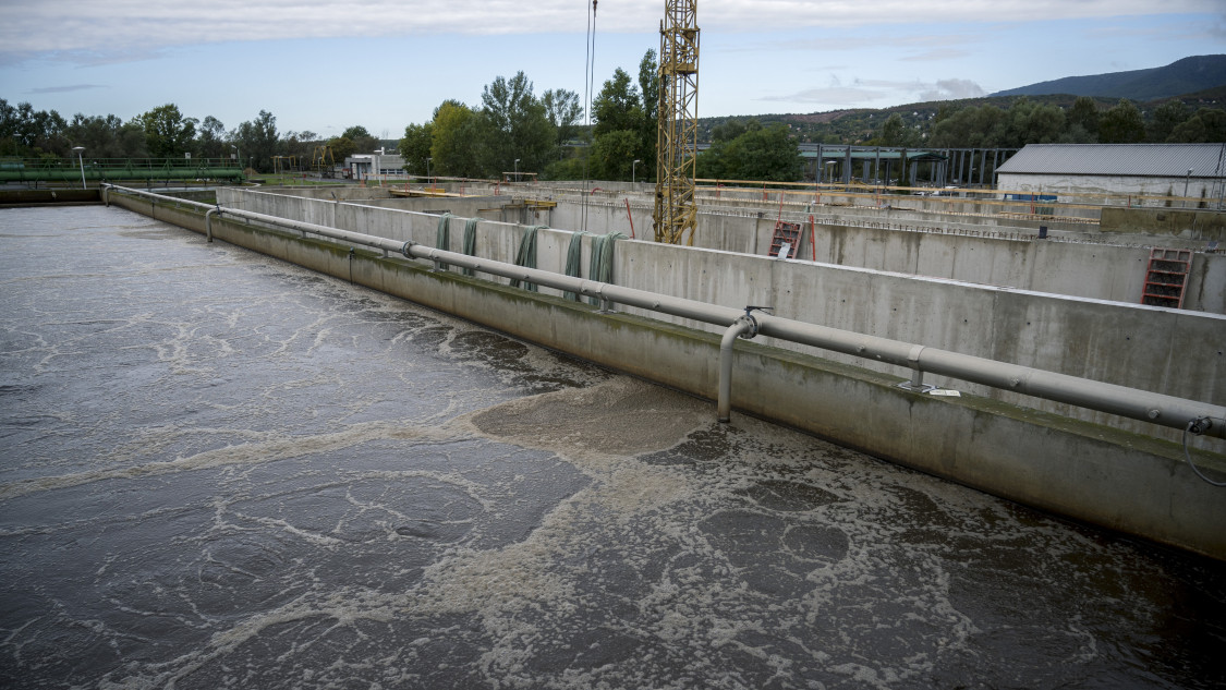 University Partners With Businesses to Develop Wastewater Treatment Process