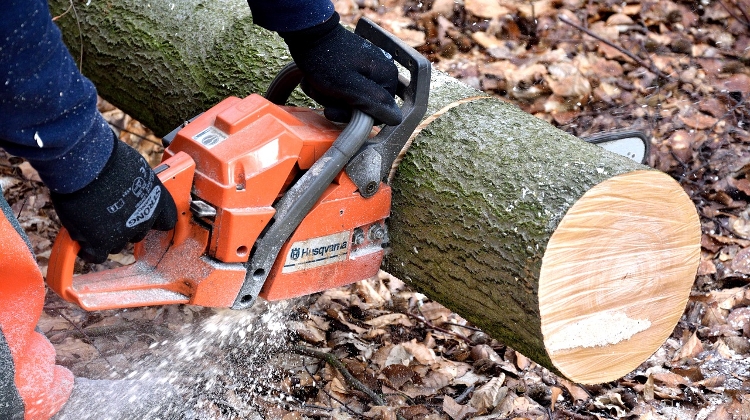 Tree-Felling Decree No Threat to Forests, Says Hungarian Forestry Company