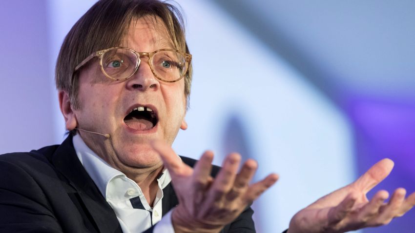 Verhofstadt's Letter on Hungary to EP President is 'Anti-Hungarian, Racist', Claims Fidesz MEP