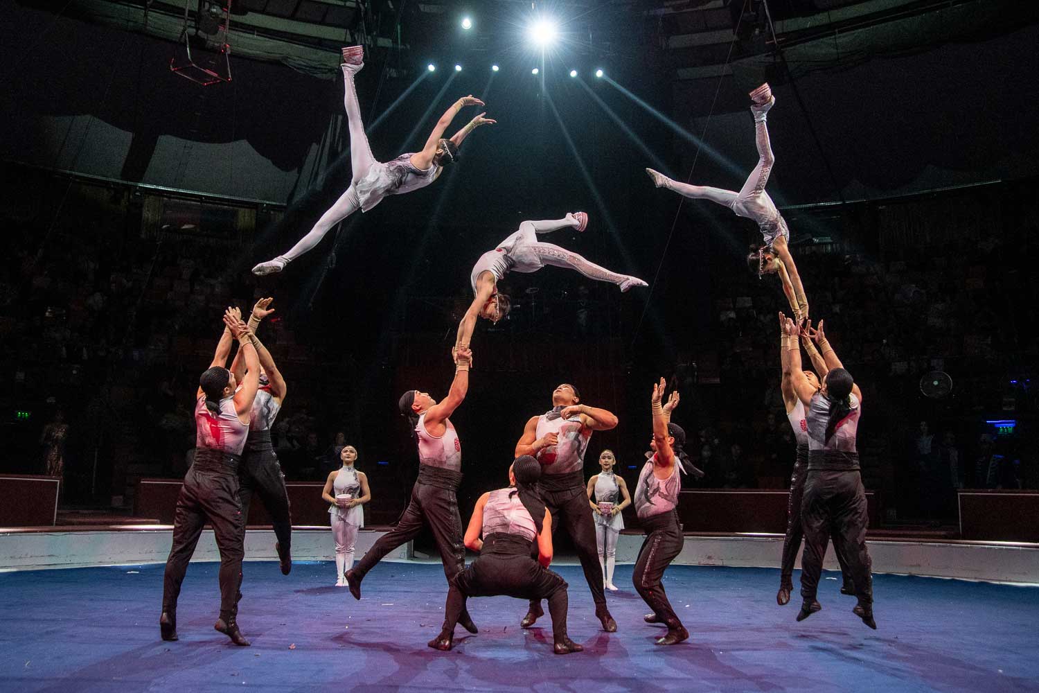 International Circus Fest in Budapest with 100 Artists From 4 Continents