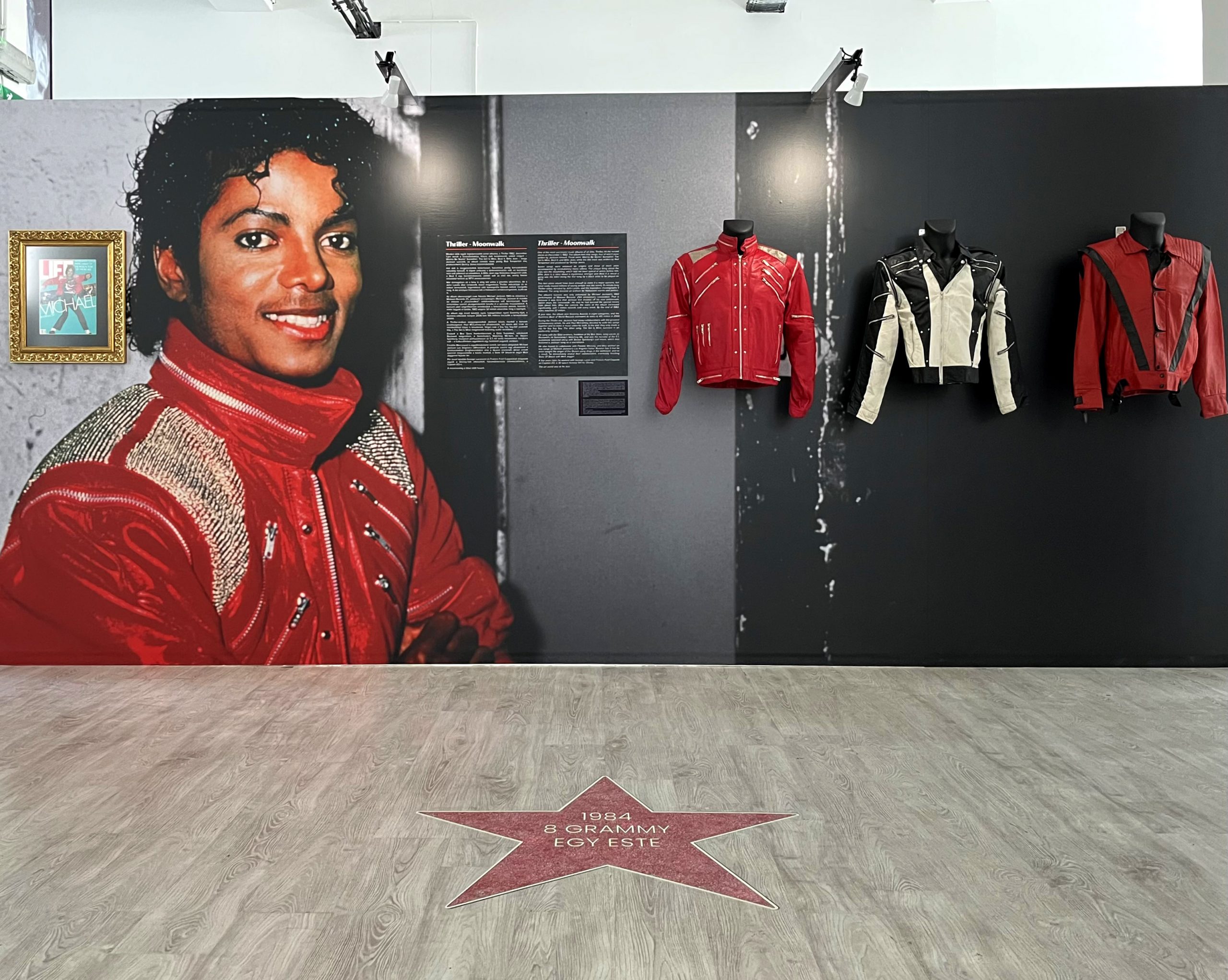 New Michael Jackson Exhibition Unveiled in Budapest