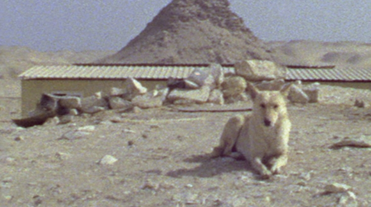 'Moving a Mountain in Six Acts' Exhibition, Trafó Budapest, 12 February