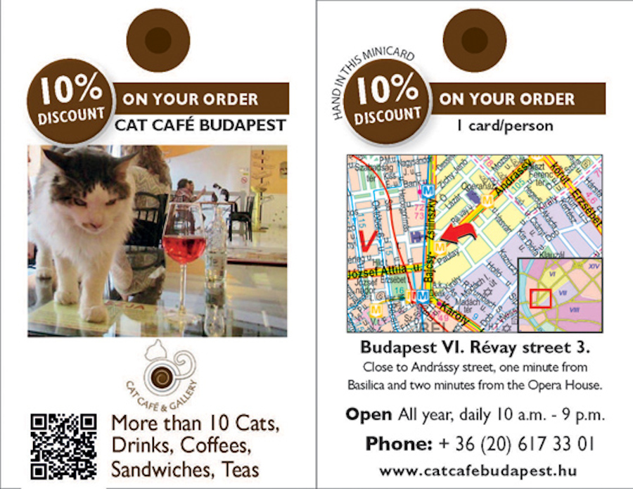 Visit a ‘Cat Café’ in Budapest – Get 10% Discount with MiniCards