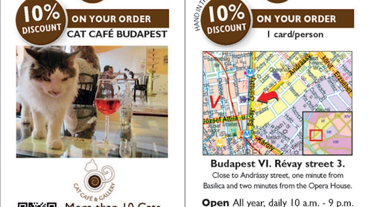 Cat Café in Budapest, 10% Discount with MiniCards